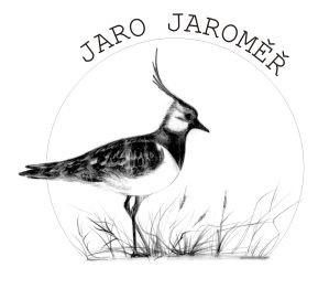 Výsledek obrázku pro jaro jaroměř